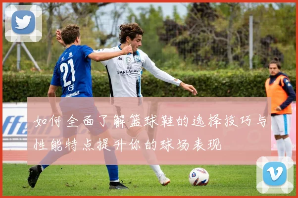 如何全面了解篮球鞋的选择技巧与性能特点提升你的球场表现