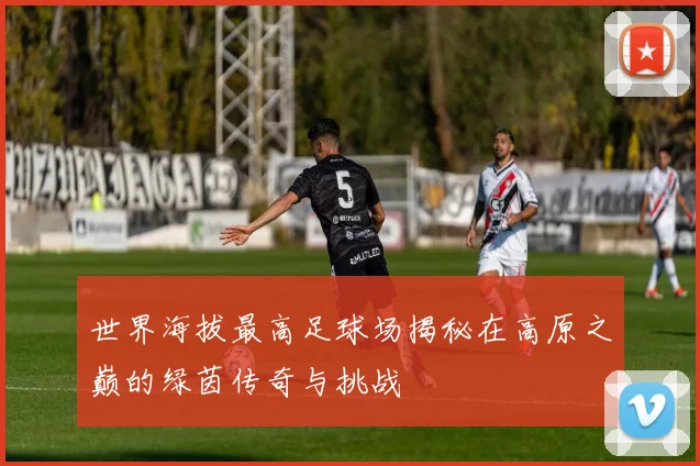 世界海拔最高足球场揭秘在高原之巅的绿茵传奇与挑战