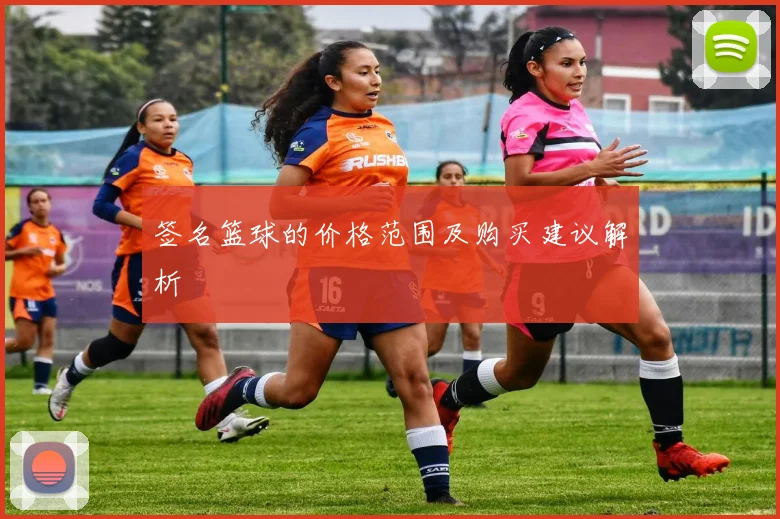 签名篮球的价格范围及购买建议解析