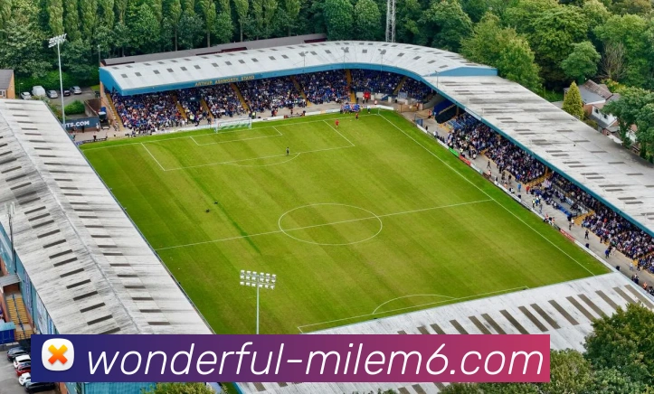 M6·米乐平台生态图